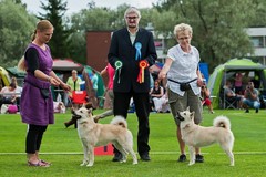 August VSP & Alma ROP M&auml;nts&auml;l&auml; 19.7.-14 (c) Ansun.fi