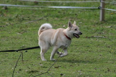 Peppi 16.9.-14