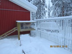 Callen "t&auml;hystystorni" (c) Vesa Rousu
