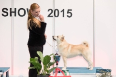 7.11.2015 Tartto int ryhm&auml; 4. (c) Siim Kinnas