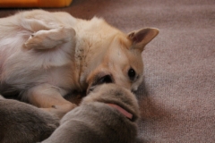 Ruska & Friija