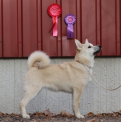 Punis Lahti PN ROP 23.10.-22 (5 kk)
