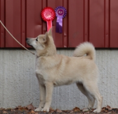 Punis Lahti PN ROP 23.10.-22 (5kk)