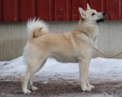 Vihre&auml; 7 kk