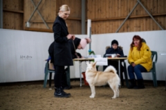 Lila Korpilahti RN 10 kk