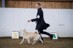 Lila Korpilahti RN 10 kk