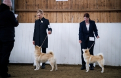 Lila & Lara Korpilahti RN