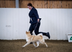 Lara Korpilahti RN