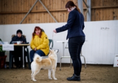 Lara Korpiulahti RN 10 kk