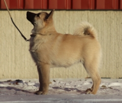 Majka 14 vkoa