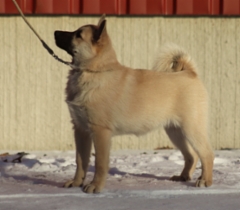 Majka 14 vkoa