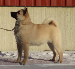 Majka 14 vkoa