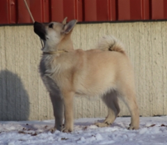 Tuula 14 vkoa