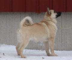 Majka 16 vkoa