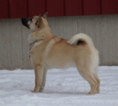 Majka 4 kk