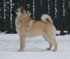 Majka 7 kk