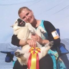 Ruotsin Erikoisn&auml;yttelyn 2017 BIS-1