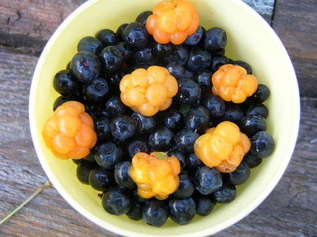 Hilloja ja mustikoita