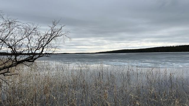 Jäät230525