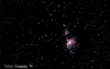Messier 42 (Orionin sumu)