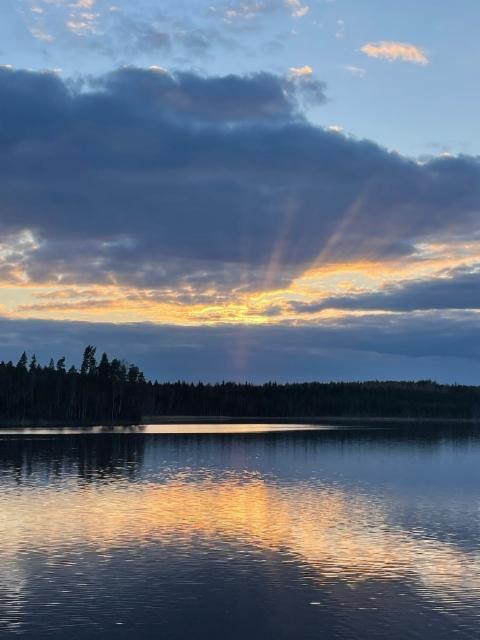 auringonsateet_2