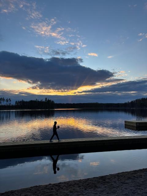 auringonsateet