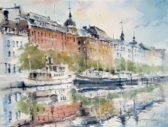 pohjoisrannan_botskeja