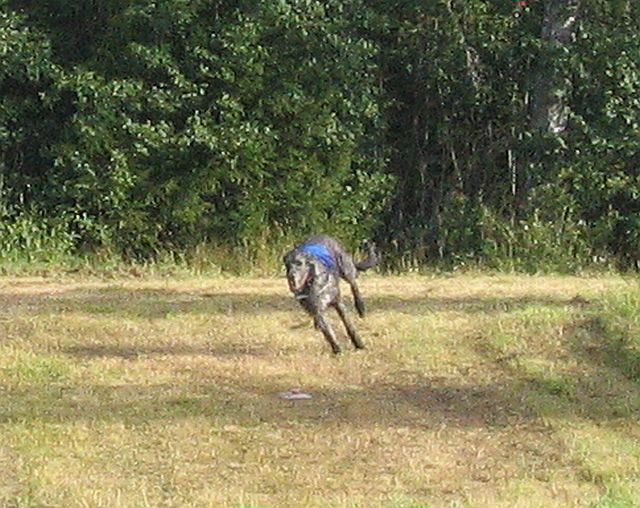 img011