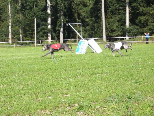 img_0033