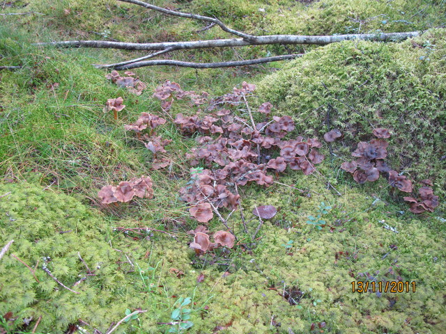 img_3549 img_3549
