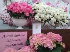 lahjakortti &auml;idille