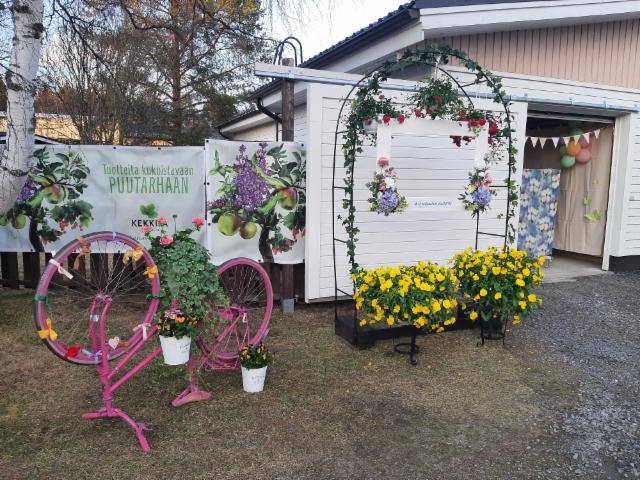 onnenpyörä, kuvauspaikka, ongintaa onnenpyörä, kuvauspaikka, ongintaa