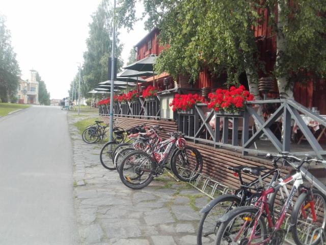 pelargoniat Sokerijussin kievarin kaiteilla pelargoniat Sokerijussin kievarin kaiteilla