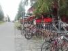 pelargoniat Sokerijussin kievarin kaiteilla