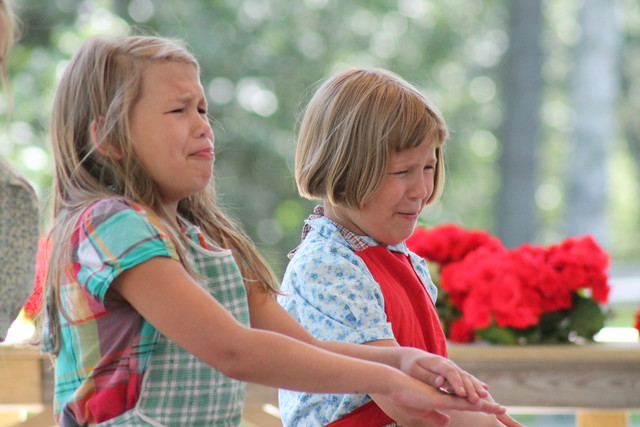 Wc.-kannen puhdistus