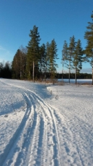 ladut pellolla m&ouml;kin vierell&auml;
