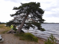 Oulun järvi