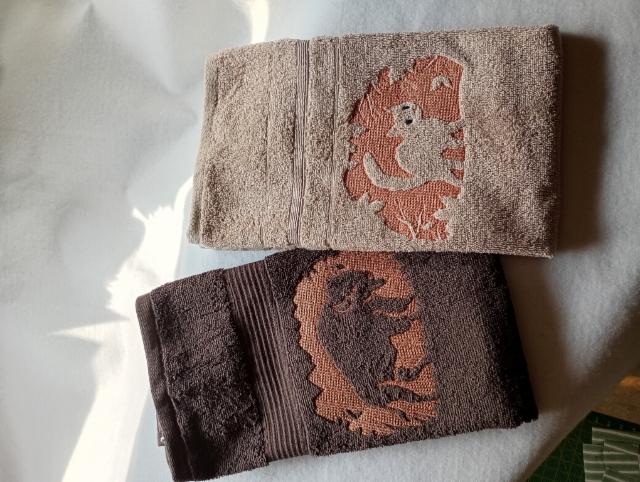 img_20250610_100938223_hdr