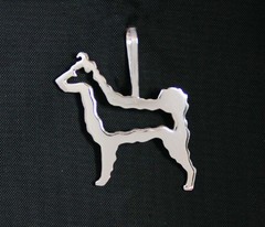 Pumi