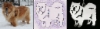 uniikki82
