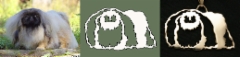 uniikki99