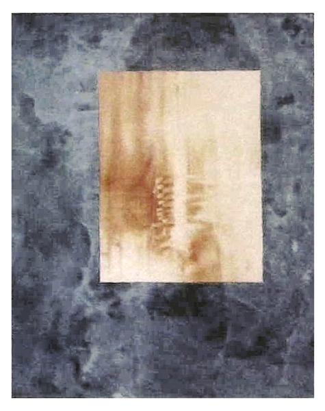 Sirpa Häkli, Vox (XIV), 1996