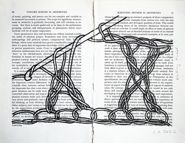 Sirpa Häkli, Aesthetics and the Artist XXX (30.), 2022
