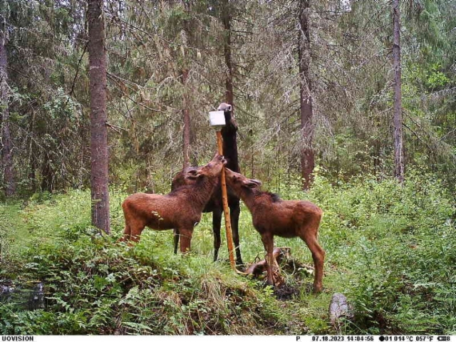 ema_ja_vasat_suolakivella