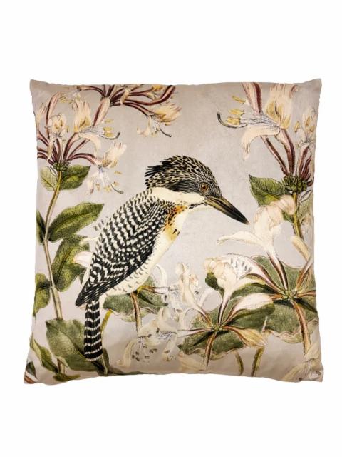 bird bird