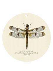 alusta_sudenkorento_