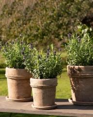 ruukku_aluslautasella