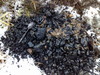 kivea sienitien kaivo paineviemäri PEH 140