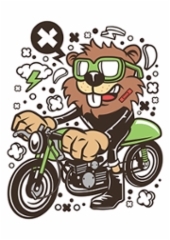 beaver_racer