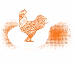 i_crowen_cock_png